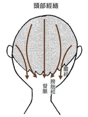 t0156a46575afd679e4.jpg