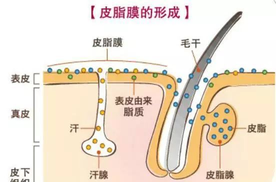微信圖片_20220612124558.jpg