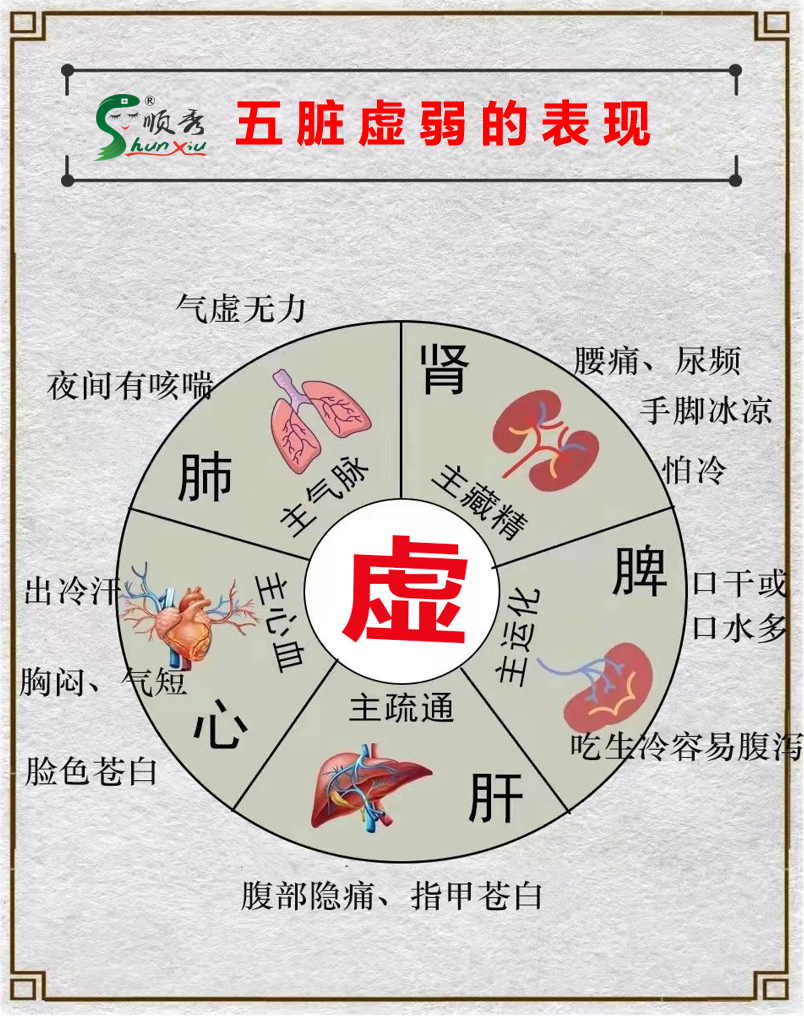 五臟圖