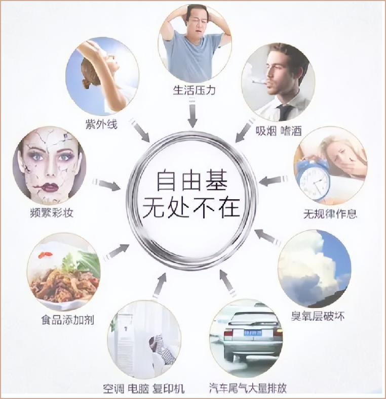自由基